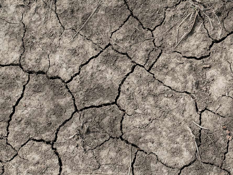 Australian Government Drought Resilience Innovation grants EOI