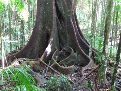 Queensland Government’s Nature Refuge Landholder Grants Program open now