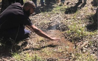 Enhancing bushfire recovery and resilience through collaborative, community engagement in the principles and practices of indigenous cultural burning.