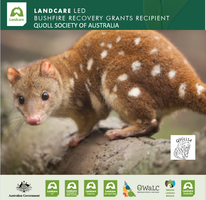 Surveys and Public Education for the Spotted-tailed Quoll in South East Queensland