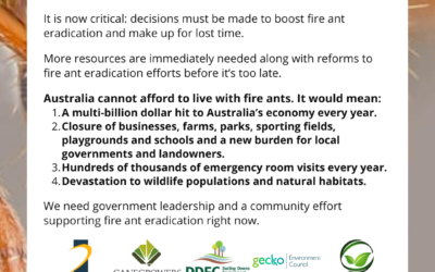 Fire ant coalition calls for government action.