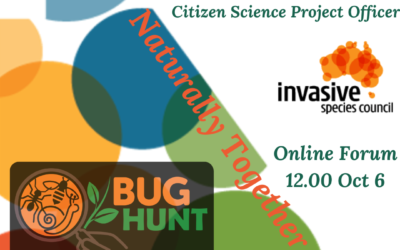 Introducing Bug Hunt _QWALC Online Forum_Oct 6