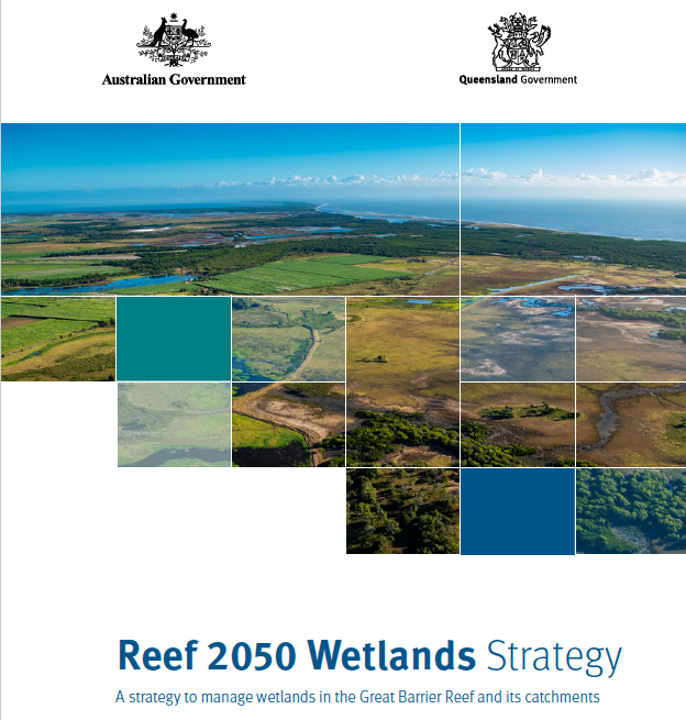 Happy World Wetlands Day! New strategy to protect Reef wetlands