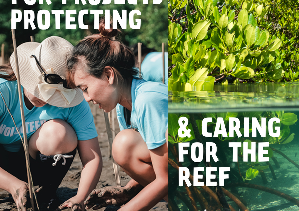 Protecting the Great Barrier Reef – Community Stewardship Program Round 1