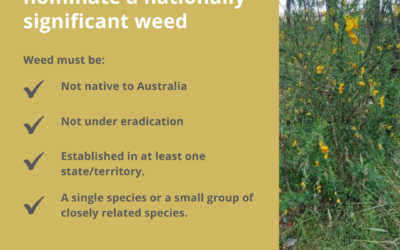 EOI process open for nationally significant weeds