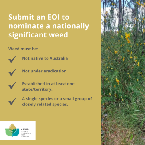Eoi Process EOI process open for nationally significant weeds | Queensland Water ...