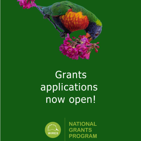 WIRES National Grants Program