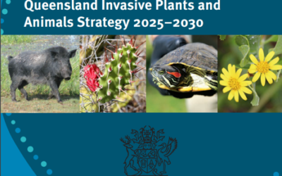 Queensland Invasive Plants and Animals Strategy 2025–2030