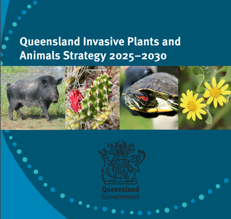 Queensland Invasive Plants and Animals Strategy 2025–2030