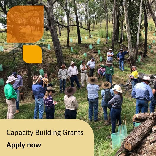 Round 2 of the Natural Heritage Trust’s Capacity Building Grants.