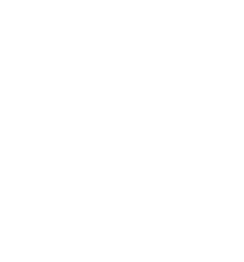 387_Proj-Examp_IconW