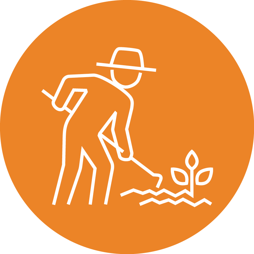 QWaLC Icons7