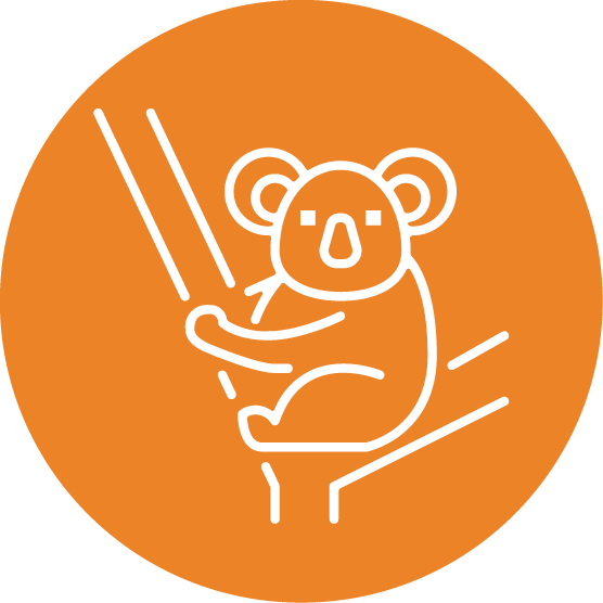 QWaLC Icons_Koala