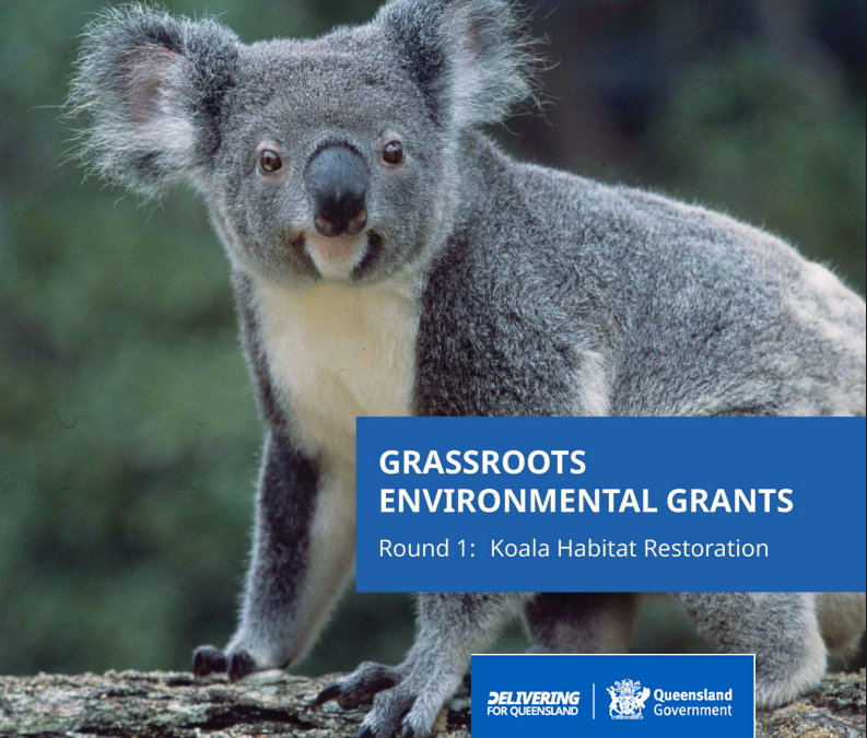 Round 1: Koala Habitat Restoration of the Queensland