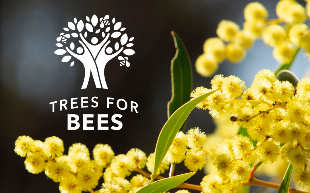 The Trees for Bees Community Tree Grants