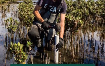 QLD Landcare Award nominations are CLOSED!
