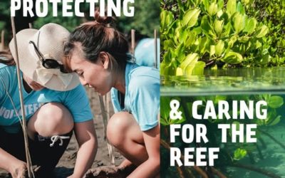 Protecting the Great Barrier Reef — Community Stewardship Program Rd 2