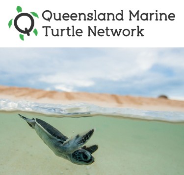 Queensland Marine Turtle Network grants