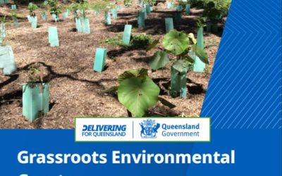 Round 2: Queensland Environmental Legacy Grants