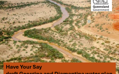 draft Georgina and Diamantina water plan