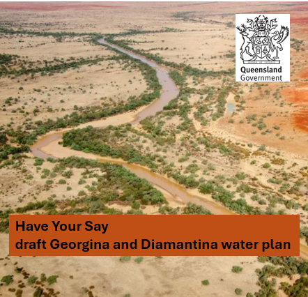 draft Georgina and Diamantina water plan